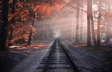 blog-grid-1-410x308